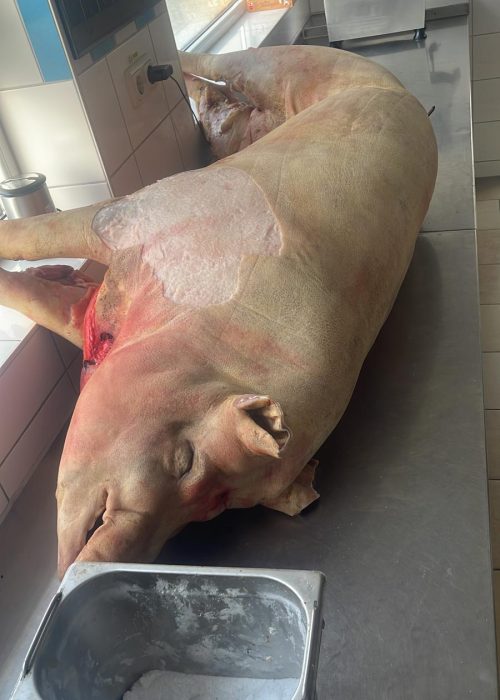 PHOTO-2024-12-17-09-44-21